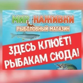 Мир наживки