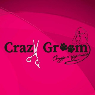 Crazy Groom