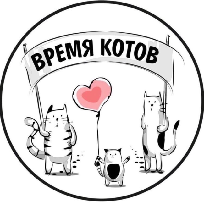 ВРЕМЯ КОТОВ