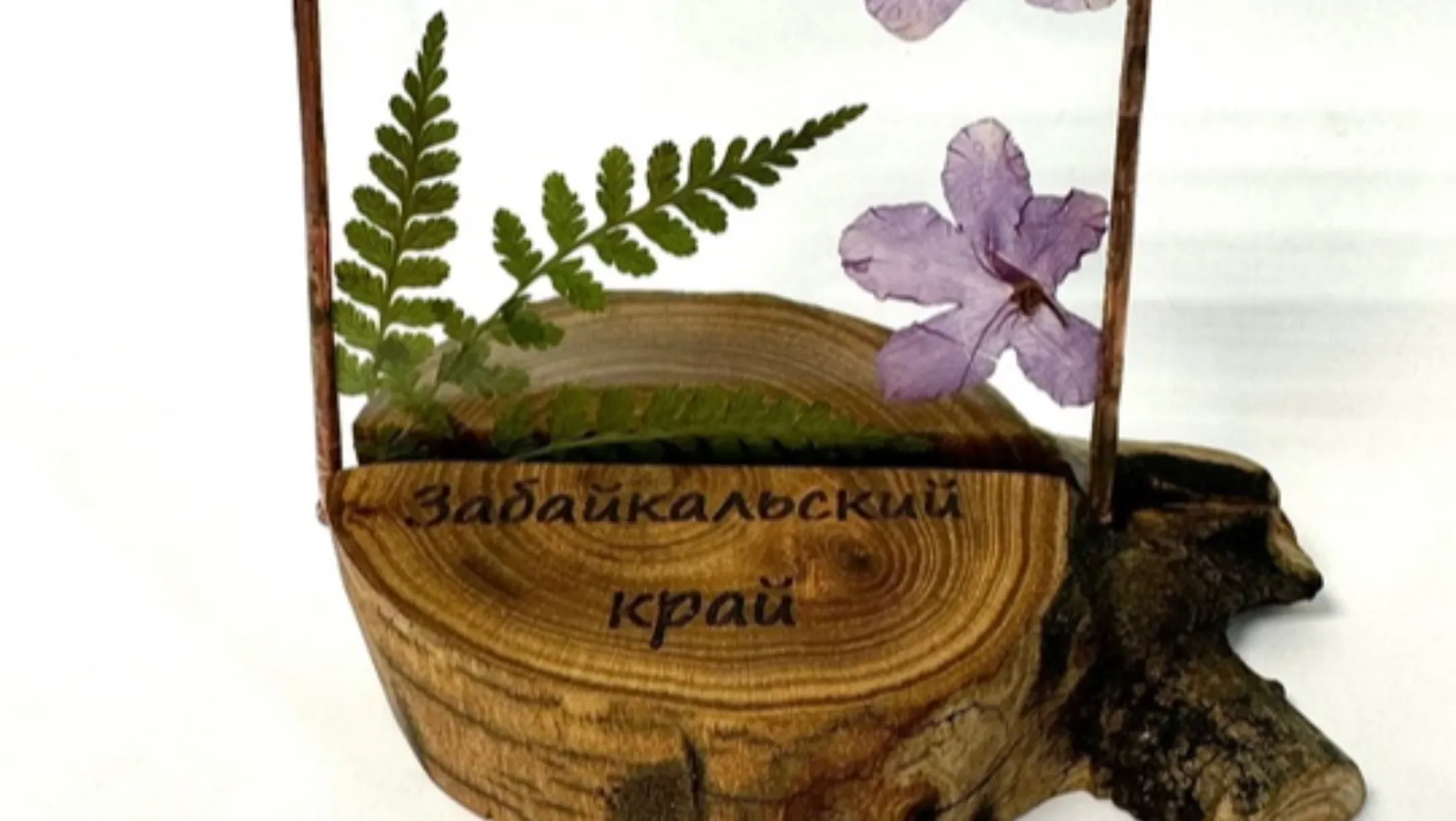 gallery-img-1