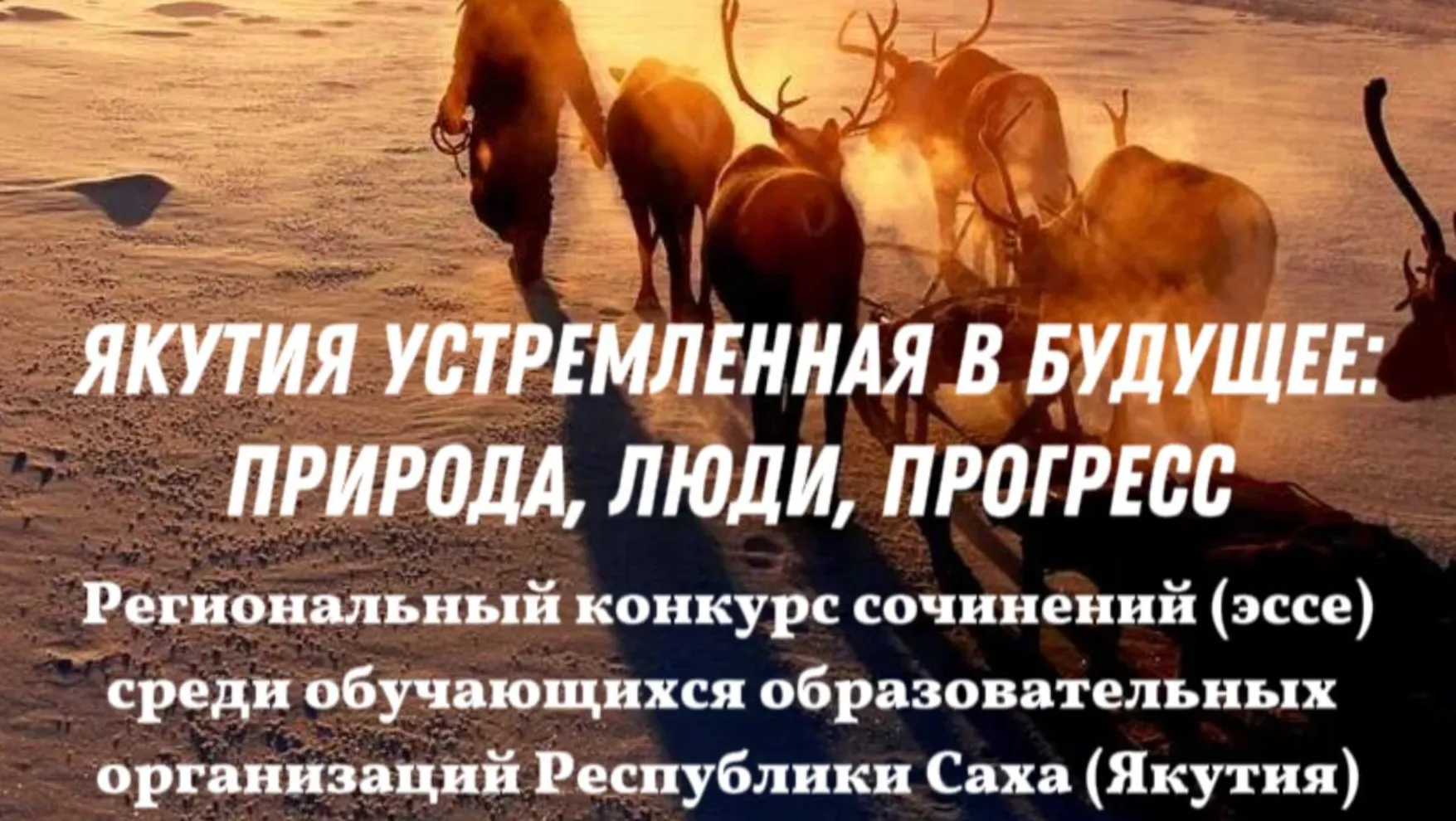 gallery-img-0