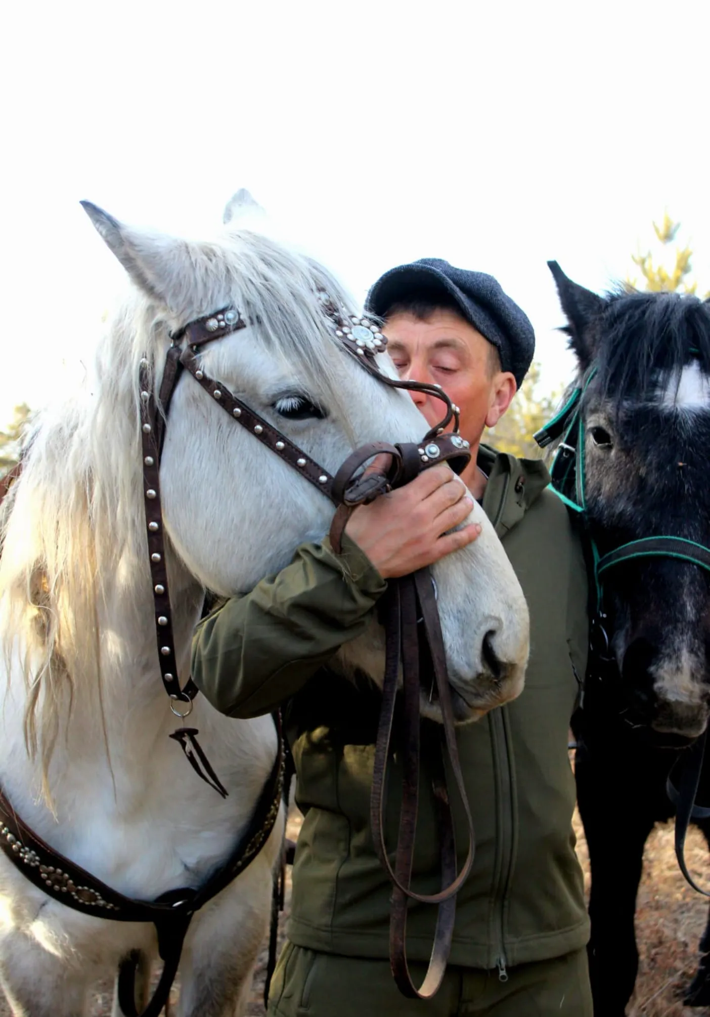 Конные прогулки | Активный отдых | Улан-Удэ