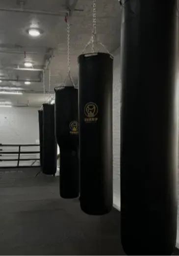 Champ Boxing Club | Спорт | Хабаровск
