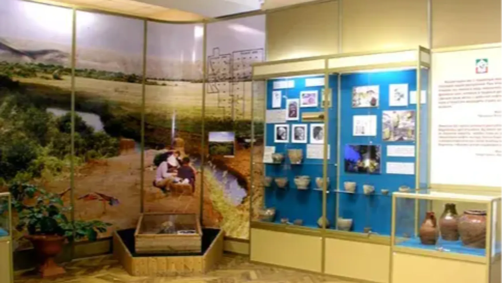 gallery-img-2