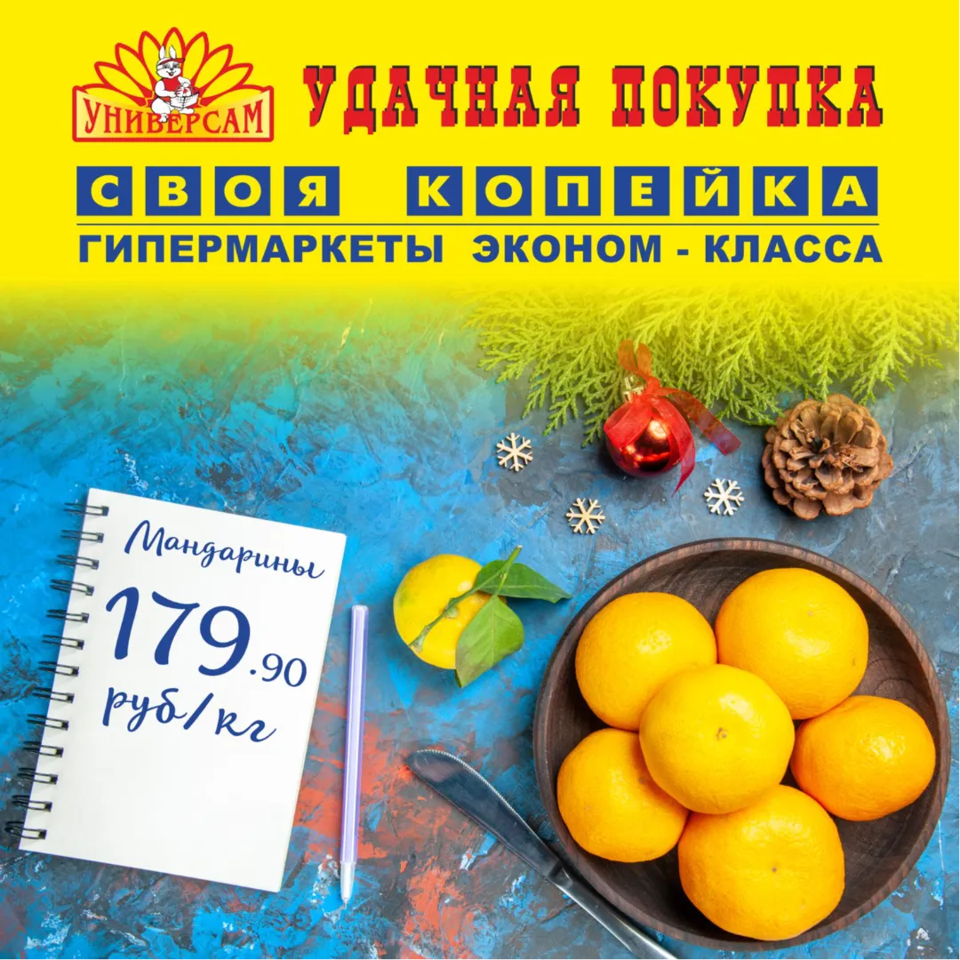 Своя Копейка